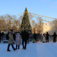 Каток Елагина парка :: Ольга 