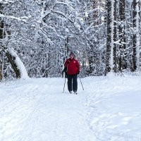 О любителях лыжного спорта. :: Милешкин Владимир Алексеевич 