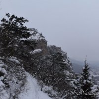 Природа Крыма :: Amazing Cosmea