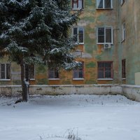 Старая ель около старого дома :: Александр Синдерёв