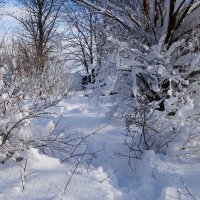 В окрестностях Калининграда :: Рита Симонова