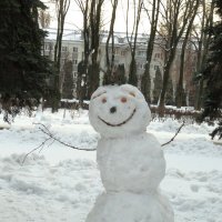 Весело-весело встретим Новый год! :: Егор Бабанов