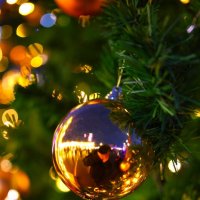 ...... :: Evgeny Mameev