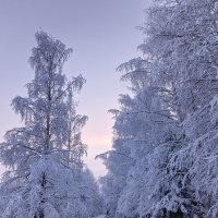 Зимняя сказка в Пинежье :: Ольга Чистякова
