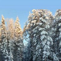 На перепутье :: Виктор 