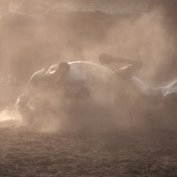 Ранним утром :: Марина Фомина. Ранним утром :: Марина Фомина.