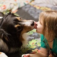 Братский лизь :: Артём 