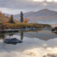 Беляши :: Sergey38 