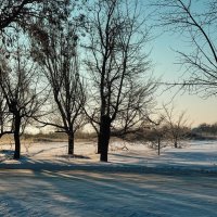 **** :: Яна Горбунова