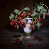 Калинушка... :: Надежда Куркина 