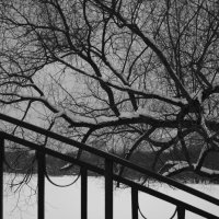 Парк Дружбы :: Мария Яковлева