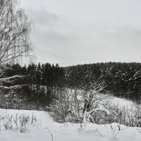 зима однако :: Вадим 