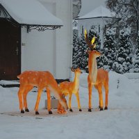 Николо-Сольбинский женский монастырь :: Лидия Бусурина