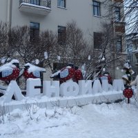 фотосессия с птичками :: zavitok *