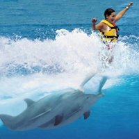 Эх , прокачусь ! :) :: Валерий Кокорев