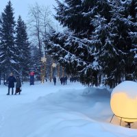 Новосибирск зимний :: Татьяна Лютаева