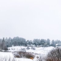 Снежная зима. :: Анатолий. Chesnavik.