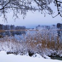 В окрестностях Калининграда :: Рита Симонова