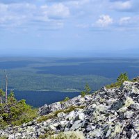 Курумник на склоне. :: ВикТор Быстров