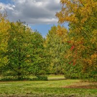 Парк :: Jakob Dick