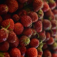 Немного клубнички.... :: Константин Сафронов