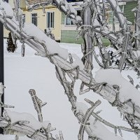 Все в снегу:) :: Юлия Денискина