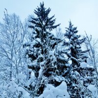 танцуют все :: Владимир 