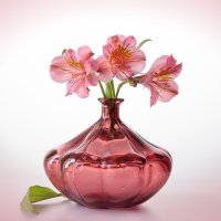 Букетик альстромерии. :: Лилия *