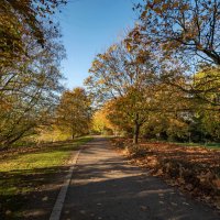 *** :: Николай Гирш