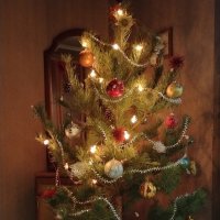 Ёлочка в огоньках :: Надежда 