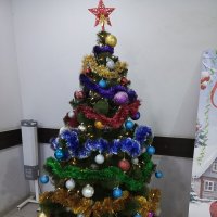 С новым годом по старому стилю :: Татьяна Пальчикова