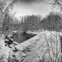Зимний монохром :: Олег Загорулько