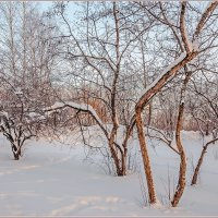 Про январь... :: Aquarius - Сергей