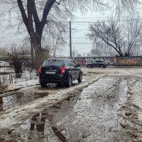 Чего только не бывает зимой... :: Татьяна Машошина