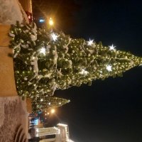 Ёлка :: Сапсан 