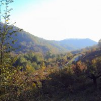 ДАГОМЫС :: Tata Wolf