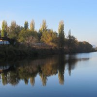 .......... :: Елена Шаламова