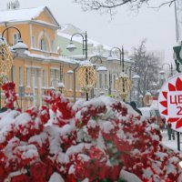 14 января :: Михаил Бибичков