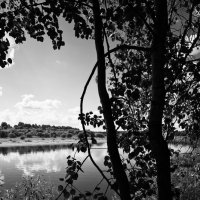 Фотография :: Денис Безногов