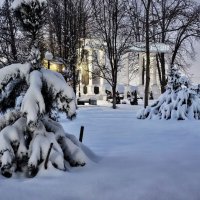 Зимний вечер вв парке :: Валерий Ткаченко