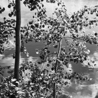 Фотография :: Денис Безногов