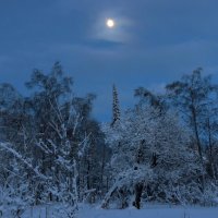 Лунная мелодия зимнего вечера... :: Галина Ильясова Лунная мелодия зимнего вечера... :: Галина Ильясова