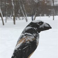 Ворон :: Alisia La DEMA