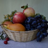 Дары осени :: Надежда Куркина Дары осени :: Надежда Куркина