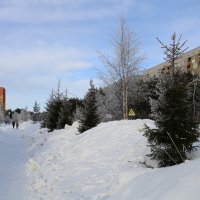 Зимний день :: Ольга 