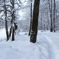 Январь на Смоленщине (репортаж из поездок по области). :: Милешкин Владимир Алексеевич 