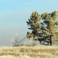 Сибирь. :: nadyasilyuk Вознюк