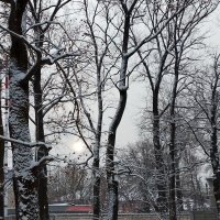 *** :: Валентина Береснева