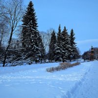 Чебоксары. Центральная аллея сквера им. В.А. Чапаева зимой. :: Пётр Чернега