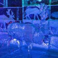 Север :: Ирина Соловьёва